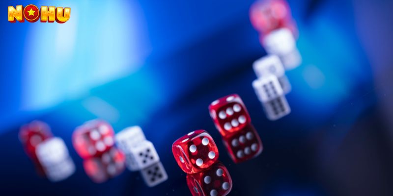 Tài xỉu Nohu90 là trò chơi cá cược phổ biến.